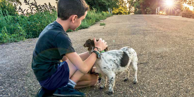 Se trovo un cane cosa devo fare?